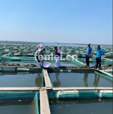 循环水养殖评估鉴定 海产养殖评估